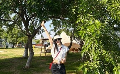 后知后觉直播室